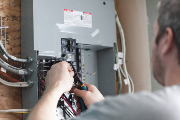 Best Electrical Panel Upgrades  in Loch Lomond, VA